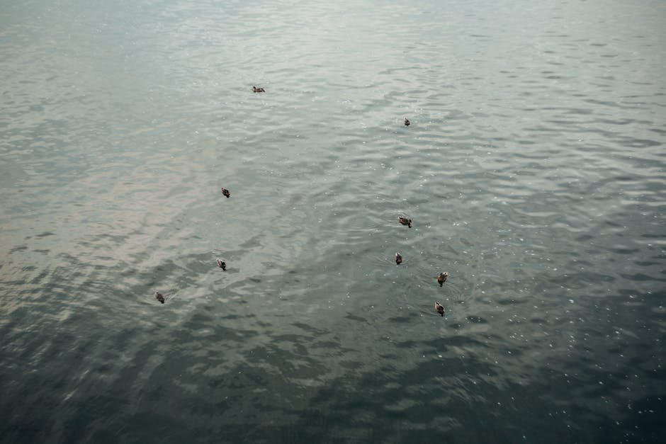 quistes en los riñones